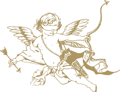 Brazilian Waxing Company Logo