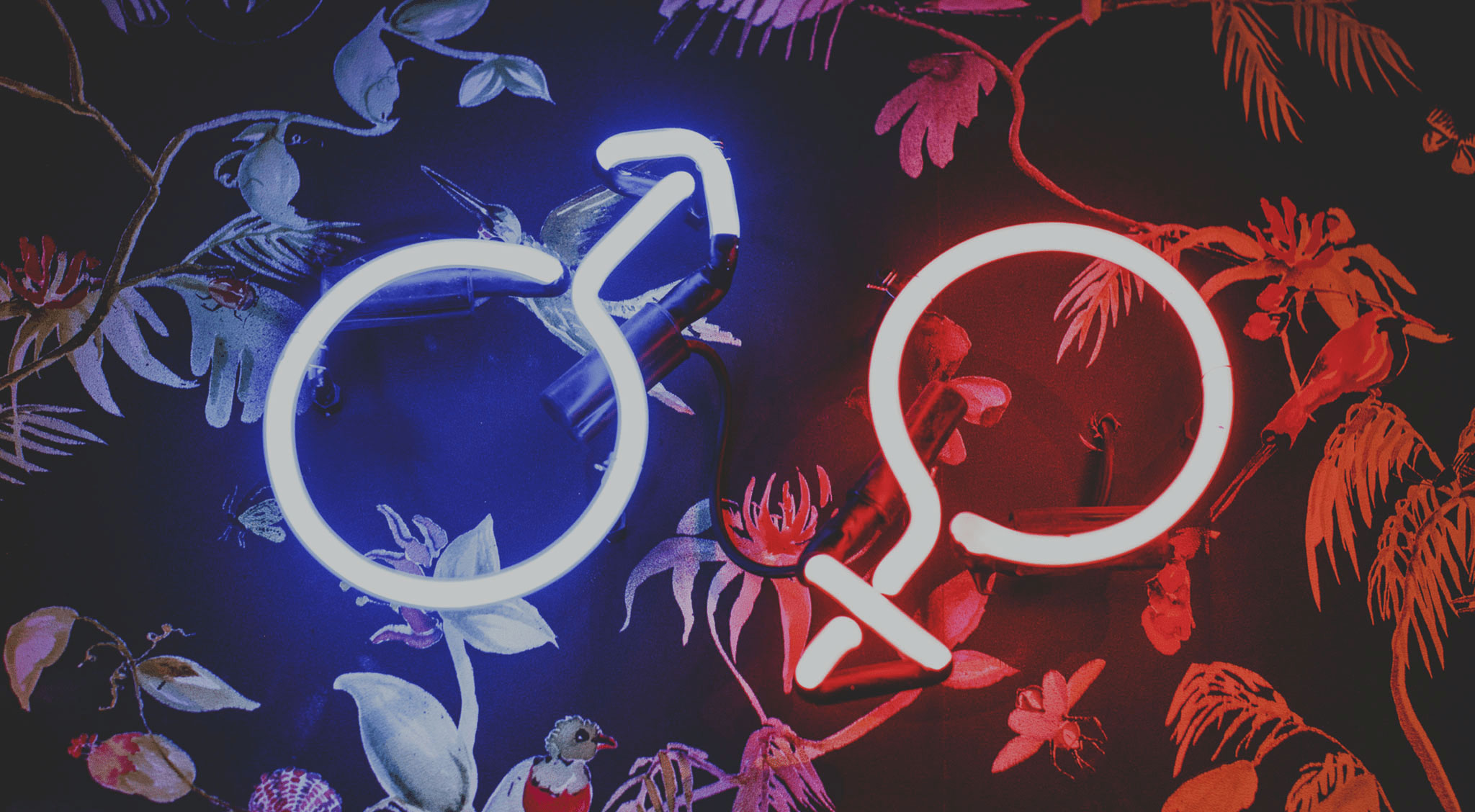 Brazilian Waxing Company Treatments